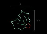 2 Leaf Holly (2'9" H x 3' W)