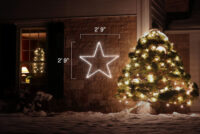 5 Point Star (2'9" H x 2'9" W)