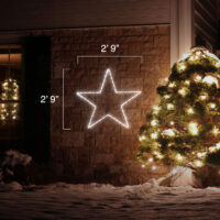 5 Point Star (2'9" H x 2'9" W)