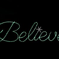 Believe Sign Christmas light display