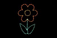 Flower_Orange__49033 Flower Orange spring light display