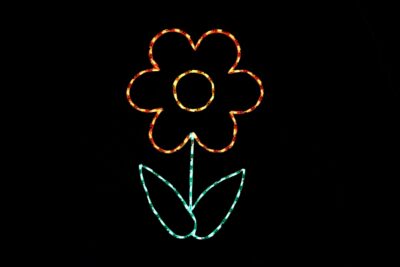 Flower_Orange__49033 Orange flower spring light display
