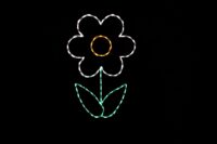 White flower spring light display