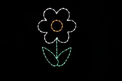 Flower_White_2__54171 White flower spring light display