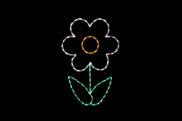 Flower White spring light display