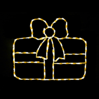 Single Gift Warm White Christmas light display