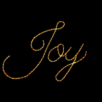 Joy Christmas light display