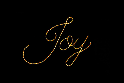 Joy Christmas light display