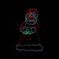Mrs Santa Christmas light display
