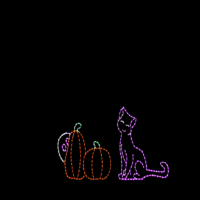 Scaredy Cat animated Halloween light display