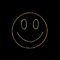 Photo of Smiley Face light display