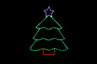 Tree with Star Christmas light display