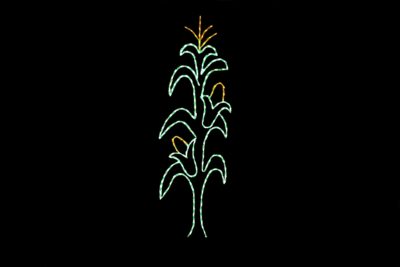 Corn stalk fall/harvest light display
