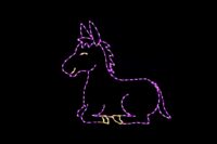 Photo of Donkey light display