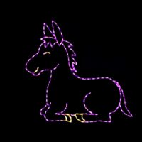 Photo of Donkey light display