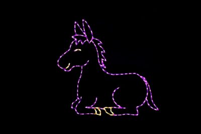 Photo of Donkey nativity light display