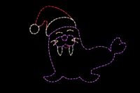 Photo of Walrus light display