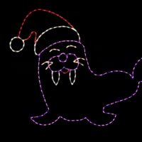 Photo of Walrus light display