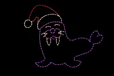 Photo of Walrus light display