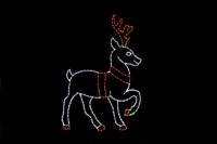 Reindeer_Standing___73861 Standing reindeer Christmas light display