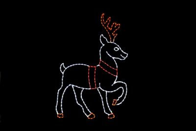 Reindeer_Standing___73861 Standing reindeer Christmas light display