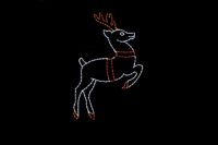 Reindeer Taking Off Christmas light display