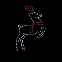 Reindeer Taking Off Christmas light display