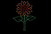 Sunflower__28907 Sunflower spring/summer light display