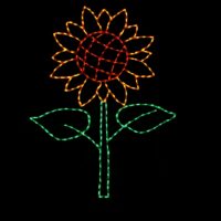 Sunflower spring light display