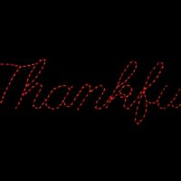 Thankful Sign Christmas light display