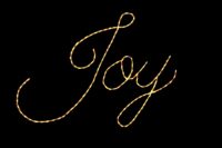 Joy holiday sign light display