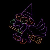 Photo of Witch in Flight light display