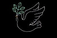 Dove Christmas light display